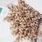 5PCS Champagne Artificial Baby’s Breath Flowers – Real Touch Silk Faux Baby Breath Stems for Vase Arrangement, Wedding, Spring Decor, Floral Centerpieces & Home Decoration